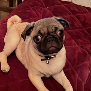 Meet your Posher, Vickie